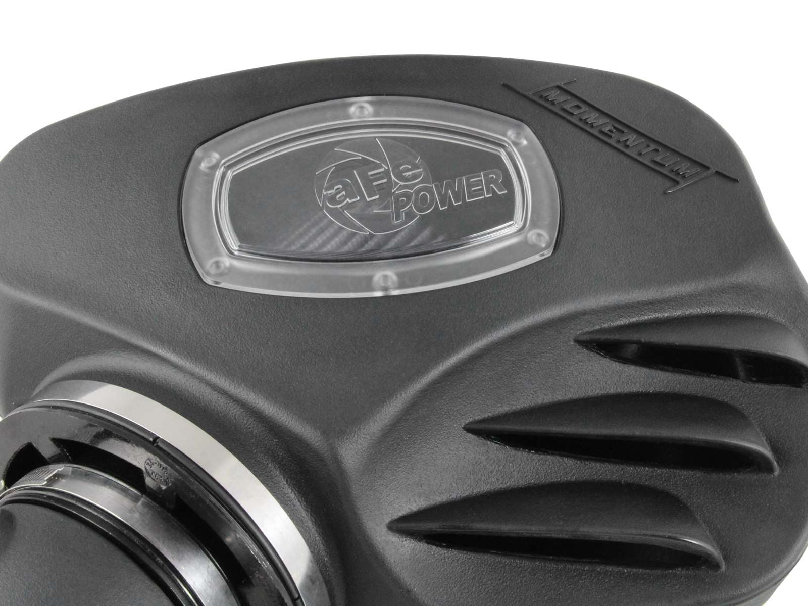 Momentum Cold Air Intake System w/ Pro DRY S Filter