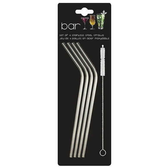 Danesco Stainless Steel Straw Set of 4