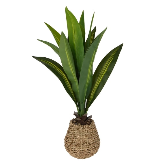 Ashland 24" Tabletop Dracaena Plant in Woven Seagrass Pot , Summer Home Decor