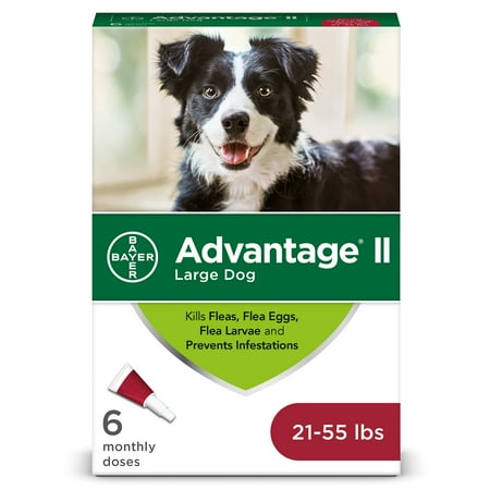 - Advantage II Flea Treatment for Large Dogs, 6 Monthly Treatments