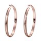 thumbnail image 1 of Worallymy Pendientes colgantes de aro redondo grande de acero inoxidable para mujer Worallymy JD735803164, 1 of 1
