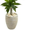 thumbnail image 4 of Nearly Natural Plastic 4' Dracaena Artificial Plant in Sand Colored Planter, Green, 4 of 8