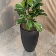 thumbnail image 6 of Pemberly Row Fiberstone Tapered Round Planter 32 Inch Height in Black, 6 of 6