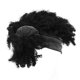 thumbnail image 5 of Peluca de Banda para la Cabeza, Peluca de Diadema de Cabello Rizado Fibras multifuncional Sinticas A Alta Temperatura para Fiesta, 5 of 7