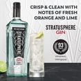 thumbnail image 3 of New Amsterdam Stratusphere Gin, 750ml glass bottle, 80 Proof, 3 of 5