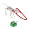 thumbnail image 3 of 3 Piezas Mini Juguete Accesorio Fotografía Huesos De Cuenco Yotijar Cachorro Esqueleto En Miniatura, 3 of 8