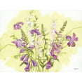 thumbnail image 3 of Holden, Jennifer 24x19 Black Modern Framed Museum Art Print Titled - Purple Flowers, 3 of 5