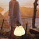 thumbnail image 5 of Large Rechargeable Battery Outdoor Lamp with Remote Control - Dimmable Rechargeable Cordless Waterproof Table Lamp, 5 of 5