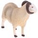 thumbnail image 5 of Plástico Modelo de Animales Sunnimix Figurine Juguete Ovejas, 5 of 8