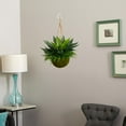 thumbnail image 3 of Agave and Maiden Hair Artificial Plant in Hanging Basket (Indoo/Outdoor, 3 of 5