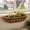 Brown2, variant on Soovim Plant Pot Liner, Planter Insert Tray, Garden Flower Pot Liner, Durable Plant Container Liner for Indoor Outdoor Plants, Pot Saucer Liner