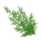 thumbnail image 5 of Plantas artificiales, enredaderas, helechos, ratán persa, planta colgante Estilo02, 5 of 9