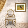 thumbnail image 3 of Fitzharris, Tim 32x25 Gold Ornate Wood Framed with Double Matting Museum Art Print Titled - Topi, 3 of 4