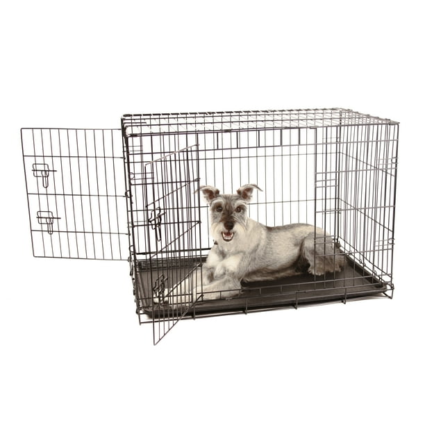 Carlson Secure and Compact Single Door Metal Dog Crate, 36