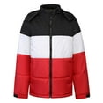 thumbnail image 1 of Awdenio Men's Hooded Detachable Zipper Cardigan Color Block Warm Cotton Coat, 1 of 7