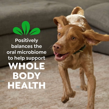 GREENIES ADULT NATURAL DENTAL DOG TREATS 3 FLAVORS, REGULAR SIZE, (3) 12 OZ PACKS (36 COUNT)