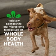 Greenies Original Flavor Adult Natural Dental Dog Treats Large Size, 6 oz Pack (4 Count)