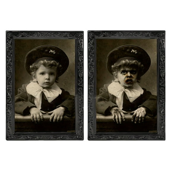 BNNG Halloween Decoration Scary Indoor Wall Decor, 3D Changing Face Moving Picture Frame Gothic Portraits Horror Halloween Party Decor for Home Castle Haunted House Props,15.5 x 10 inches