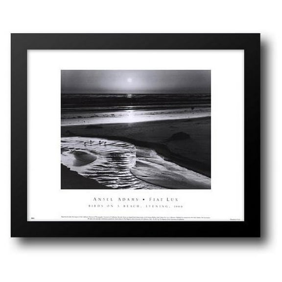 Birds on a Beach 18x15 Framed Art Print by Adams, Ansel