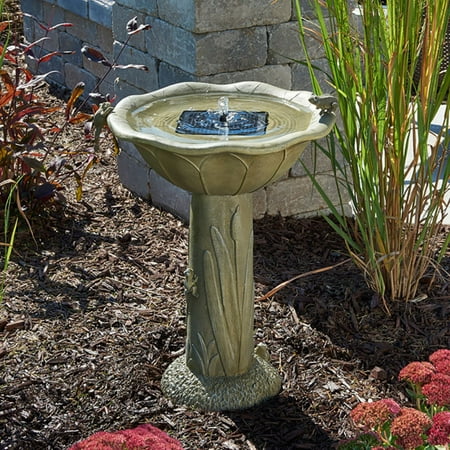 Acadia Frog Solar Bird Bath