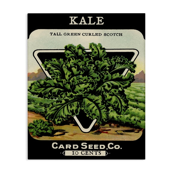 Stupell Industries Cottage Vintage Garden Kale Canvas Art, 16 x 20, by Lil' Rue