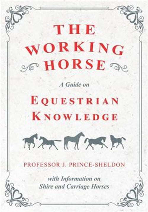 Pre-Owned The Working Horse - A Guide on Equestrian Knowledge with Information on Shire and Carriage Horses (Paperback)