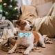 thumbnail image 4 of Collar navideño para perro con pajarita Collares para mascotas para perros pequeños, medianos y grandes, 4 of 5