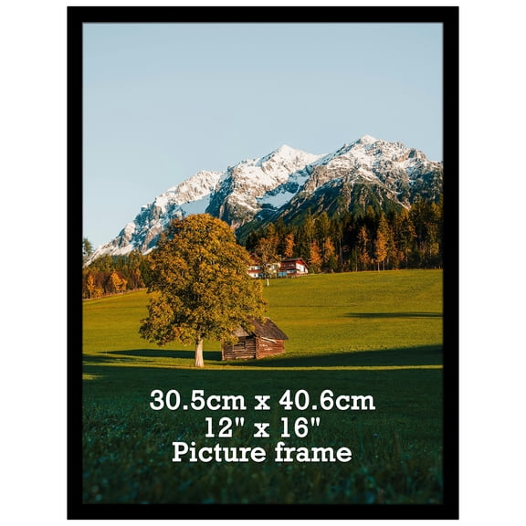1 Pack 12x16 Poster Frame, Black Gallery Picture Frame for Wall Decoration