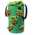 thumbnail image 4 of Utoimkio Clearance 3 Gallon Potato Grow Bags,Strawberry Planting Grow Bags with 12 Grow Pouches Plant Growing Hanger Bag for Tomato,Chili, 4 of 4