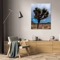 thumbnail image 3 of Erin Berzel 23x32 Gallery Wrapped Canvas Wall Art Titled - Joshua Tree II, 3 of 4