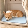 thumbnail image 5 of Woven Rattan Pet Cooling Mat Sky Blue 16 x 24 Inch Breathable Cool Summer Bed Pad for Dog Cat Rabbit Hamster Indoor Use, 5 of 8