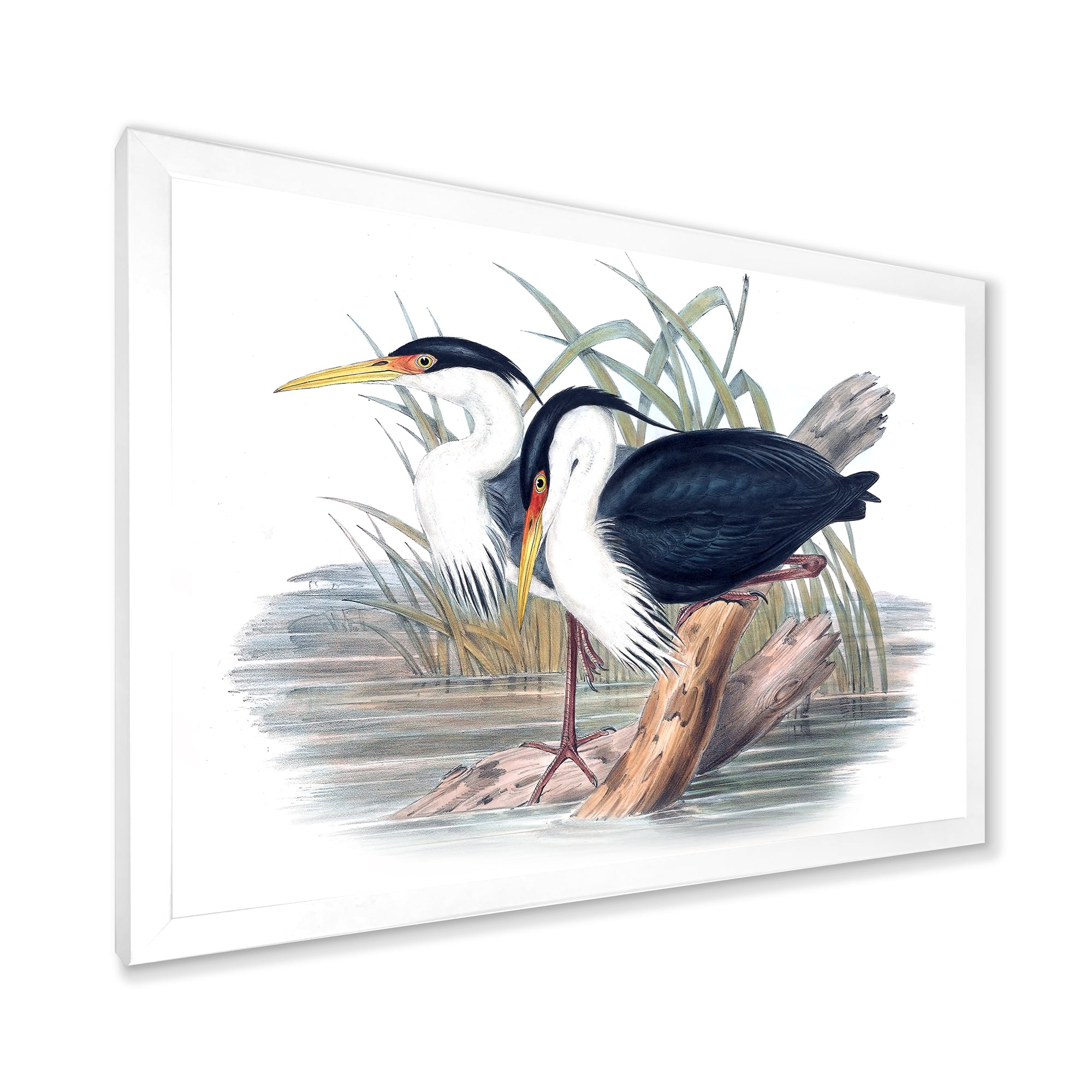 Designart 'Ancient Bird Life II' Traditional Framed Art Print