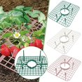 thumbnail image 1 of Garden Strawberry Stand Strawberry Supports Cultivation Frame Support, 1 of 5