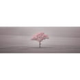 thumbnail image 3 of Frank, Assaf 18x9 Black Modern Framed Museum Art Print Titled - Single tree in foggy field, 3 of 5