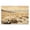 Desert Wildflower Valley Landscape, variant on Stupell Industries Rustic Lodge Vintage Desert Peaks with Saguaro Black Floating Frame Canvas Art, 25 x 17, by Franklyn Gregory