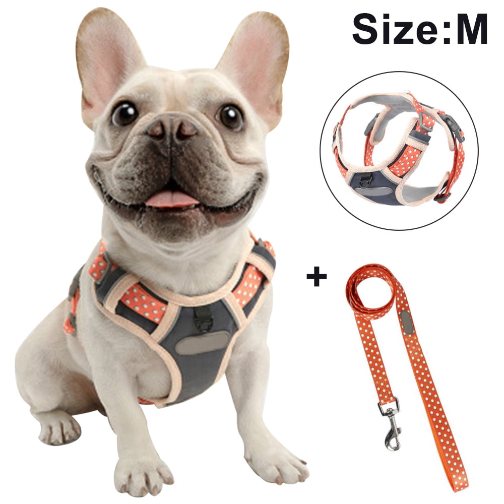 Dog harness collar and leash set best sale