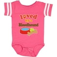 thumbnail image 3 of Inktastic Bloodhound Loved by a (dog Breed) Boys or Girls Baby Bodysuit, 3 of 5