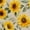 Color 4, variant on Peel and Stick Wallpaper Sunflower Floral Soft Yellow Blooms Muted Green Leaves Vintage 17.7in x 118in Contact Paper Removable Self Adhesive Wall Mural Wall Decor for Bedroom Kitchen Cabinets