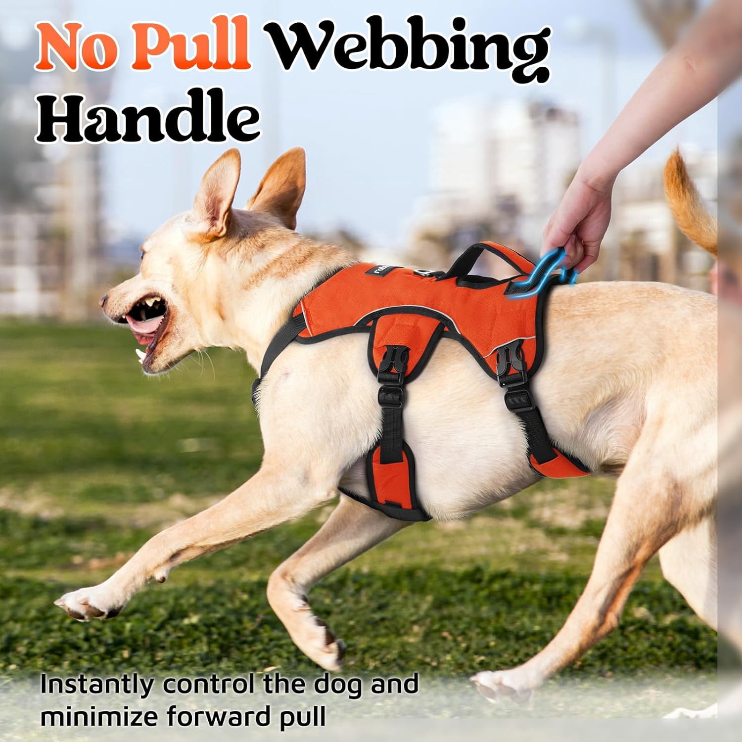 rabbitgoo Escape Proof Dog Harness, Soft Padded Full Body Pet Harness, Reflective Adjustable No Pull Vest with Lift Handle and Lesh Clip for Large Dogs Walking Hiking Training, Orange