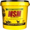 Richdel Inc MSM Joint Support Powder 4lb