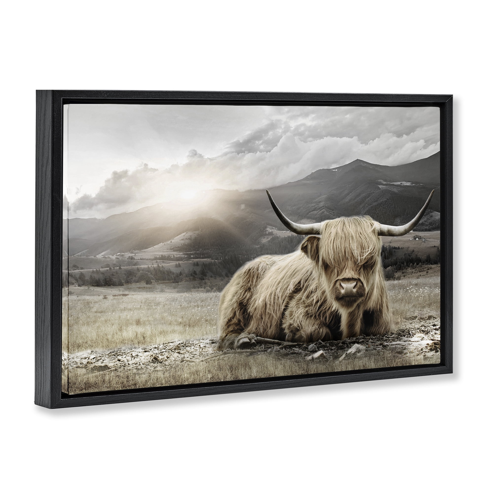 Stupell Industries Cattle Resting in Morning Sun Black Framed Floater Canvas Wall Art, design by CAD Designs