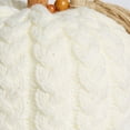 thumbnail image 2 of Way To Celebrate White Knit Pumpkin, 8 Inch, 2 of 5