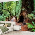 thumbnail image 2 of Peel and Stick Wallpaper Waterproof Muir Woods Wall Mural Decor Self Adhesive and Removable 69in x 98in, 2 of 8