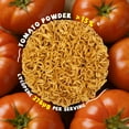 thumbnail image 4 of SUNGIVEN Organic Ramen Noodles Tomato Healthy Low Sodium Ready in 3 Minutes Non-Fried Instant No Additives or Preservatives 2.47 OZ (Pack of 10), 4 of 6