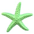 thumbnail image 1 of Dyed Finger Decor Garden Beach Critter Life Finger for Arts & Crafts Projects Decorations Invitations, 1 of 8