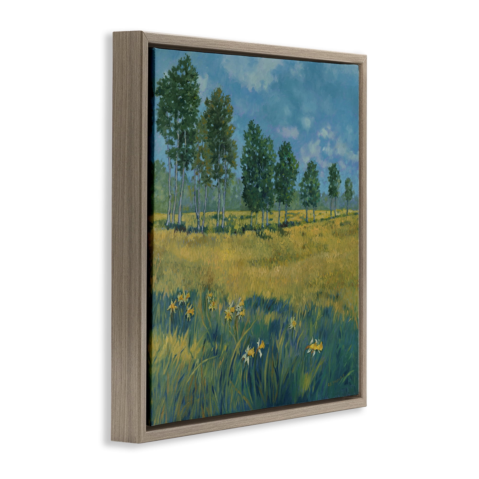 Stupell Industries Daffodil Field Landscape Landscape & Nature Painting Brown Floater Framed Canvas Art Print Wall Art, 18 x 18
