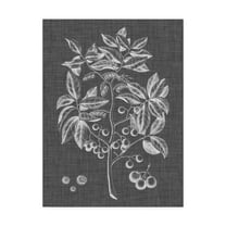 Trademark Fine Art 'Graphic Foliage VI' Canvas Art by Vision Studio