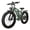Green, variant on 26" Electric Mountain Bike - 1000W Motor, 48V 16Ah Removable Battery, 7-Speed Fat Tire E-Bike Max 31MPH, Hydraulic Brakes UL2849