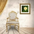 thumbnail image 3 of Hausenflock, Alan 26x26 Gold Ornate Wood Framed with Double Matting Museum Art Print Titled - A Single Rose I, 3 of 4