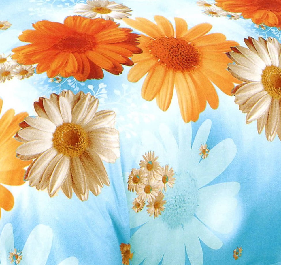 Swanson Beddings Sunny Blue Daisy 3-Piece 100% Cotton Bedding Set: Duvet Cover and Two Pillowcases (King)